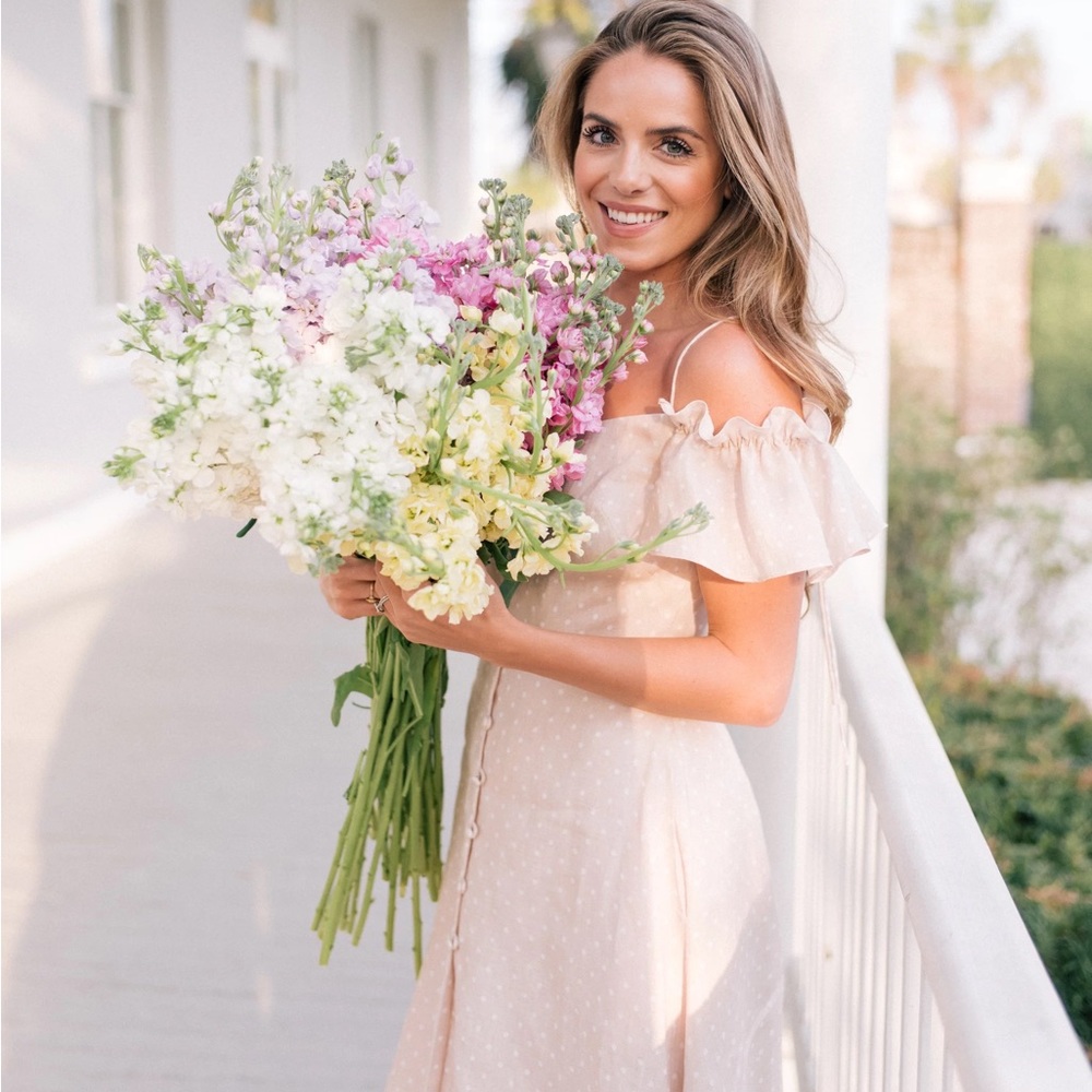 NWT Gal Meets Glam Colleen Dress